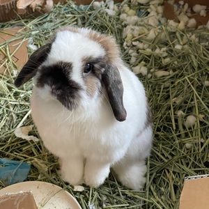 Meet your Posher, Maryam